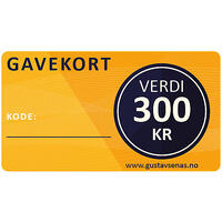 Gavekort 300,- Les Info