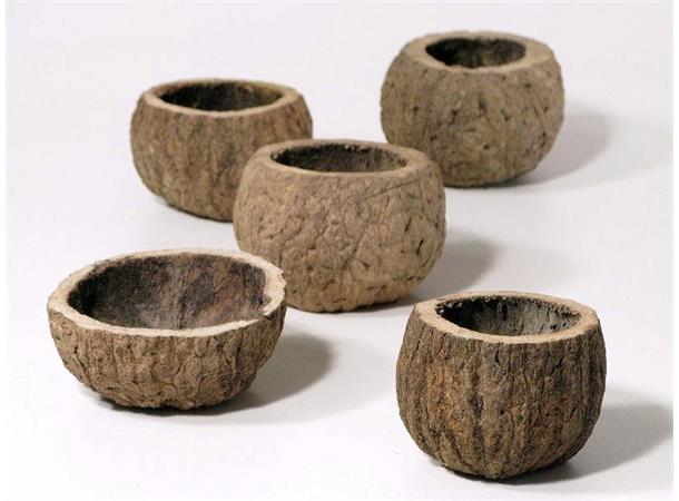 Kokosnøttskall potter 8-10 cm - 1 stk.
