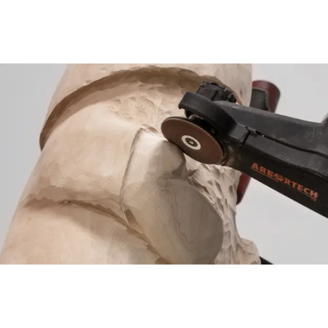 Arbortech Mini Carver Tretygger 1000 W 