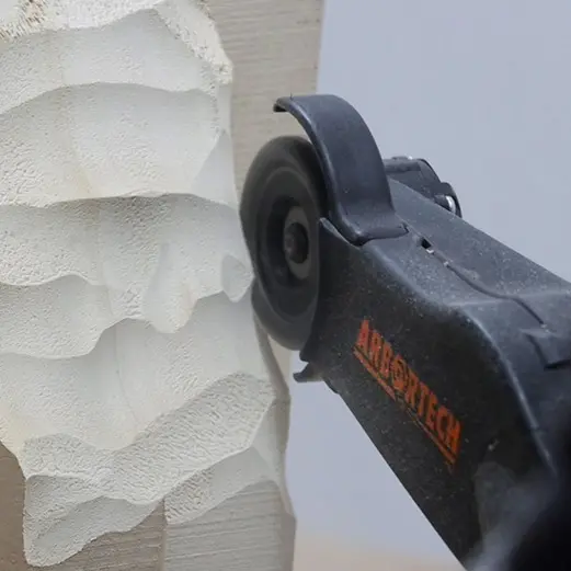 Arbortech Mini Pro Tretygger 