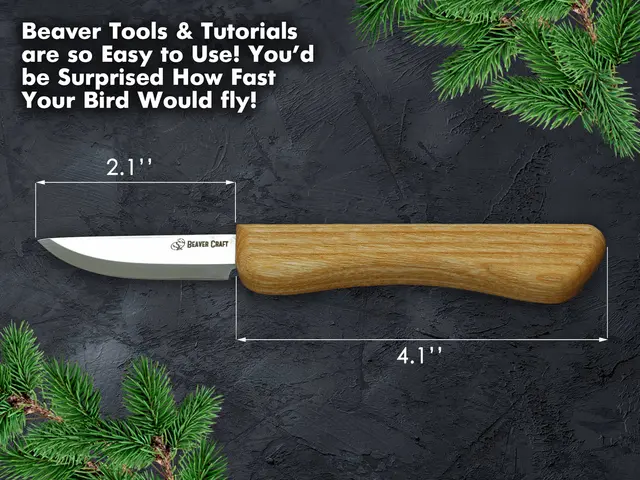 Oppstartssett til Spikking. Fugl. Beavercraft DIY 1 