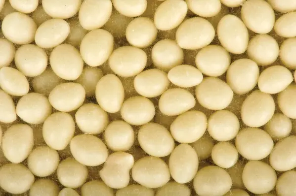 Kantbandlim - 2 Kg 