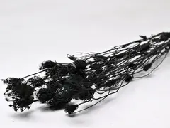 Fennel black 100 gr. 