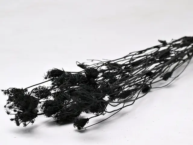 Fennel black 100 gr. 