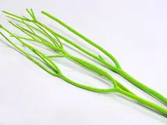 Aroma gren - gr&#248;nn Belagt med soft belegg