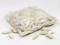 Skjell-Certihium vertagus 1kg