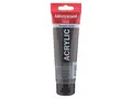 Amsterdam Standard 120ml - 408 Raw Umber