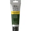 Winsor &amp; Newton&#160;Galeria&#160;Akryl&#160;120ml&#160;311 Hookers&#160;Green