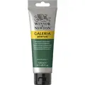 Winsor &amp; Newton&#160;Galeria&#160;Akryl&#160;120ml&#160;482 Permanent&#160;Green&#160;Deep