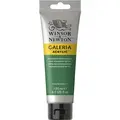 Winsor &amp; Newton&#160;Galeria&#160;Akryl&#160;120ml&#160;484 Permanent&#160;Green&#160;Middle