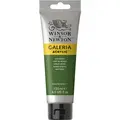 Winsor &amp; Newton&#160;Galeria&#160;Akryl&#160;120ml&#160;599 Sap&#160;Green