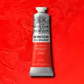 Winsor &amp; Newton&#160;Winton&#160;Oil&#160;37ml&#160;095 095&#160;Cadmium&#160;Red&#160;Hue