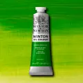 Winsor &amp; Newton&#160;Winton&#160;Oil&#160;37ml&#160;145 145&#160;Chrome&#160;Green&#160;Hue