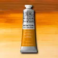 Winsor &amp; Newton&#160;Winton&#160;Oil&#160;37ml&#160;552 552&#160;Raw&#160;Sienna