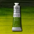 Winsor &amp; Newton&#160;Winton&#160;Oil&#160;37ml&#160;599 599&#160;Sap&#160;Green