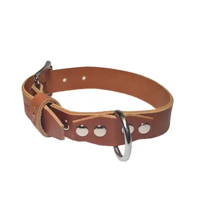Hundehalsbånd enkel OXXE 43 - Brun 
