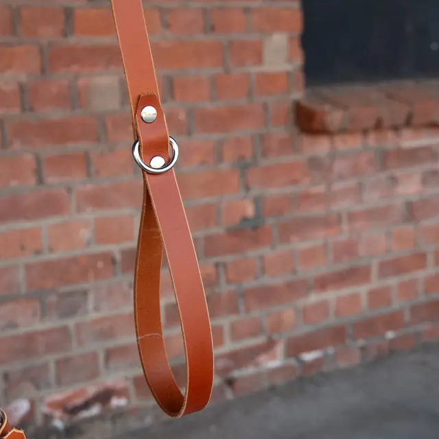 Hundekobbel m/ låsekrok 144 cm - Brun M/ Dring 