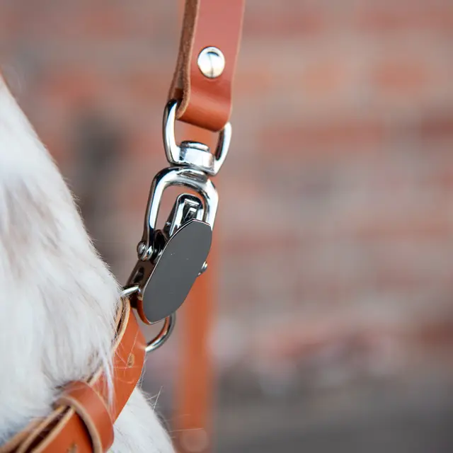 Hundekobbel m/ låsekrok 144 cm - Brun M/ Dring 