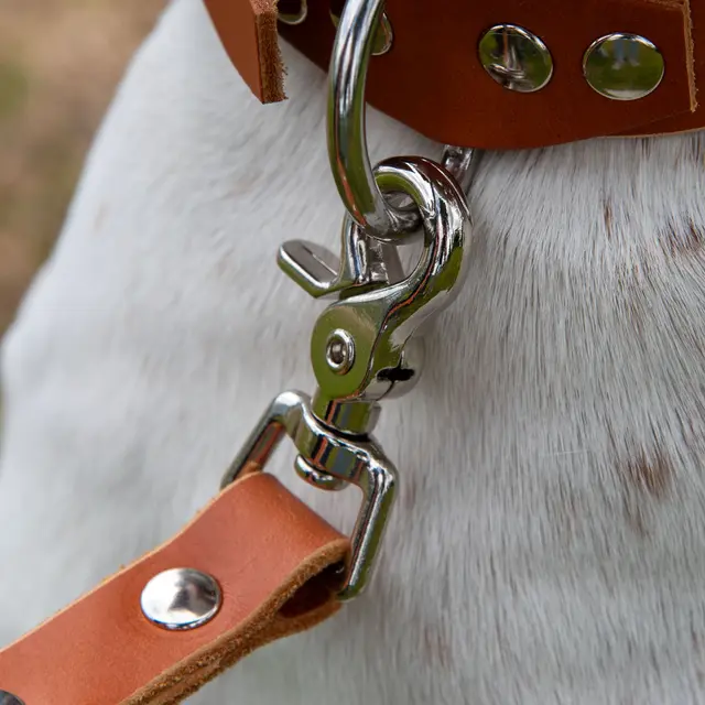 Hundekobbel m/ triggersnap 144 cm - Brun M/ Dring 