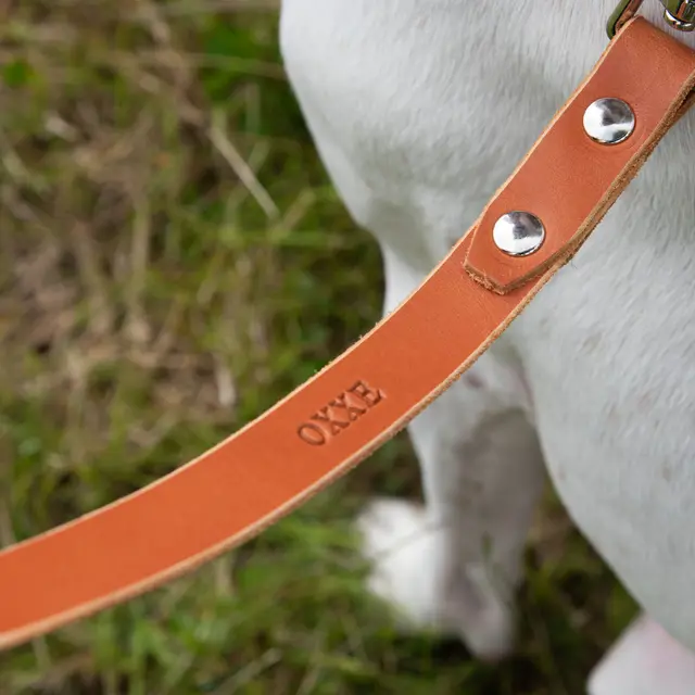 Hundekobbel m/ triggersnap 144 cm - Brun M/ Dring 