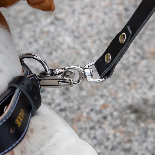 Hundekobbel m/ låsekrok 144 cm - Svart M/ Dring 