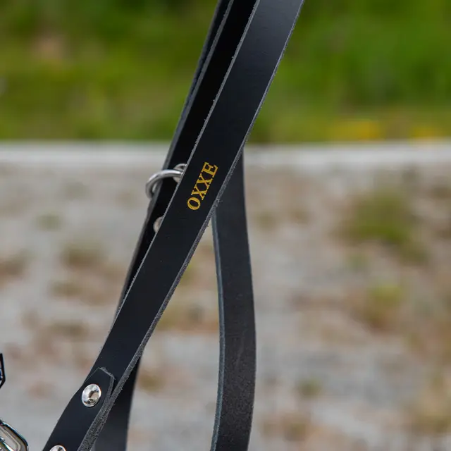 Hundekobbel m/ låsekrok 144 cm - Svart M/ Dring 