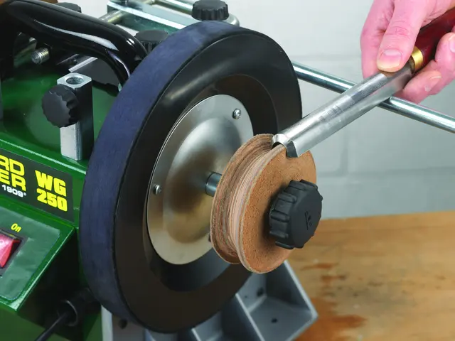 Profilert lærbrynehjul Record Power 