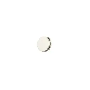 Supersterk magnet &#216;12.7 mm - 2 pak
